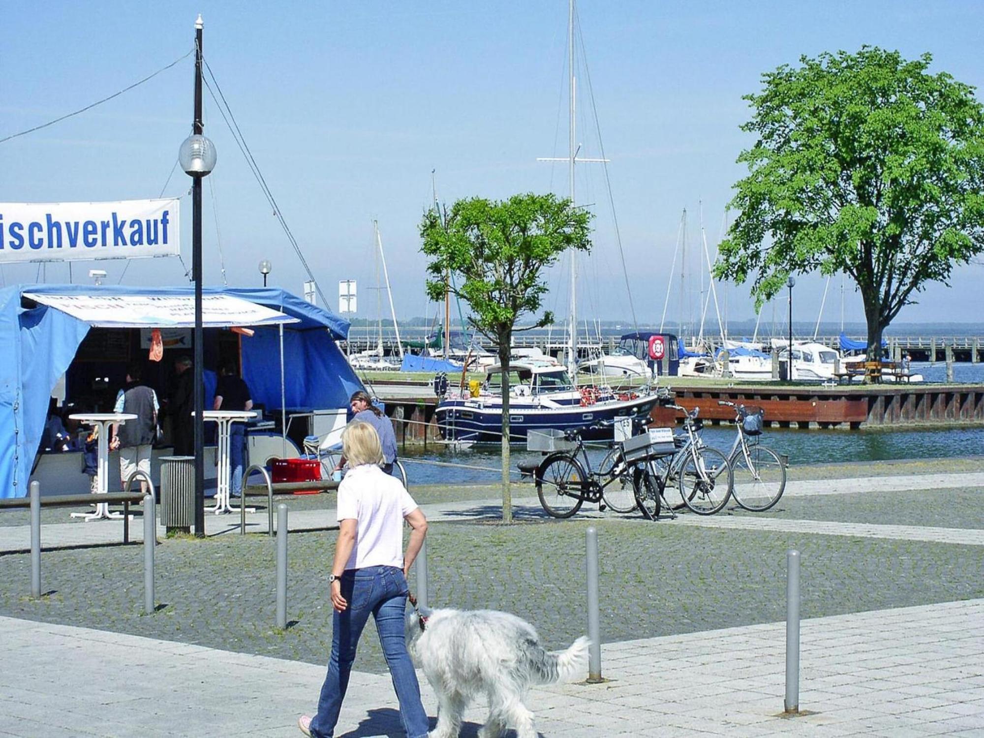 Ferienwohnung In Ribnitz-Damgarten Exteriér fotografie